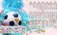 kaiyun体育:德约科维奇逆转夺冠 第24座大满贯书写网坛新传奇