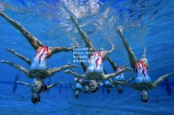kaiyun体育:温网2024，阿尔卡拉斯卫冕成功，斯瓦泰克首夺草地大满贯