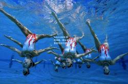 kaiyun体育:传奇谢幕，著名运动员隆重退役仪式感动全场