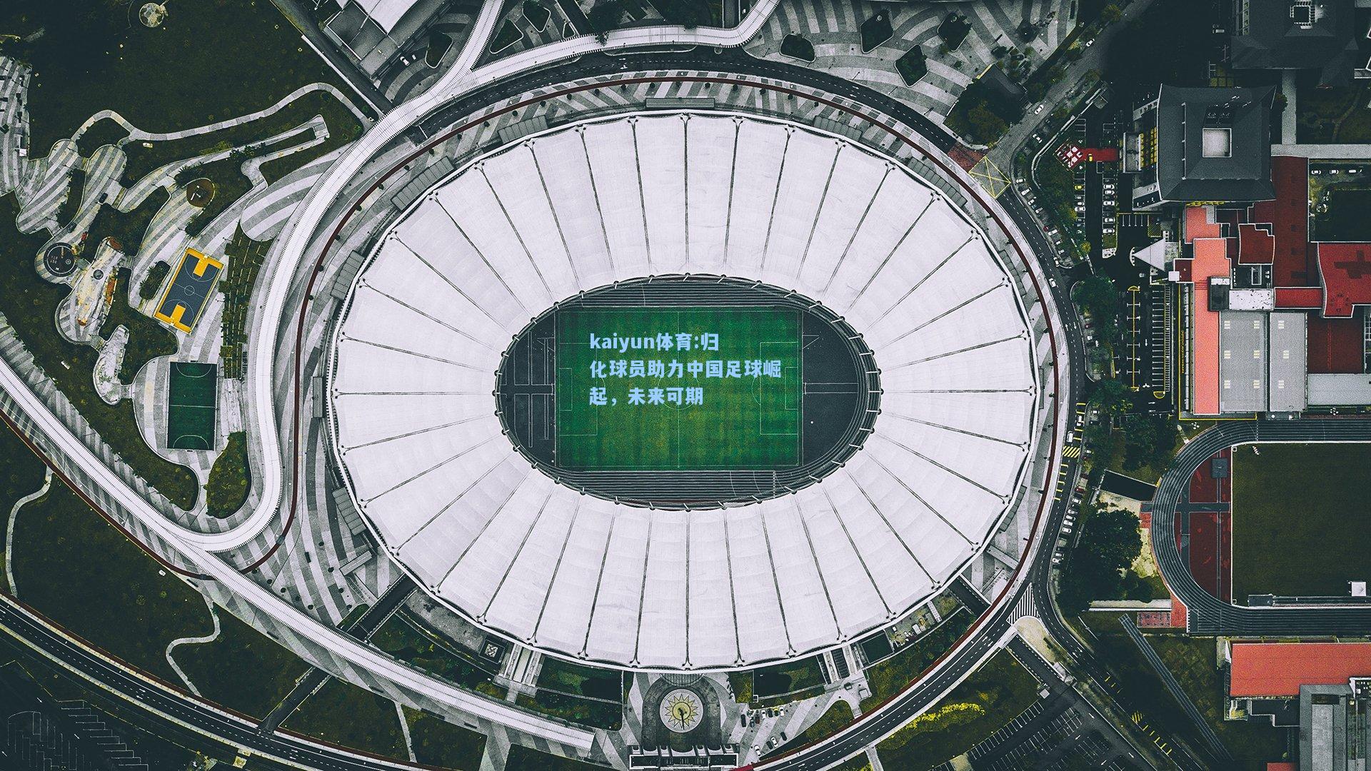 归化球员助力中国足球崛起，未来可期